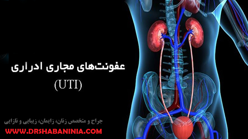 بهترین پزشک زنان اصفهان